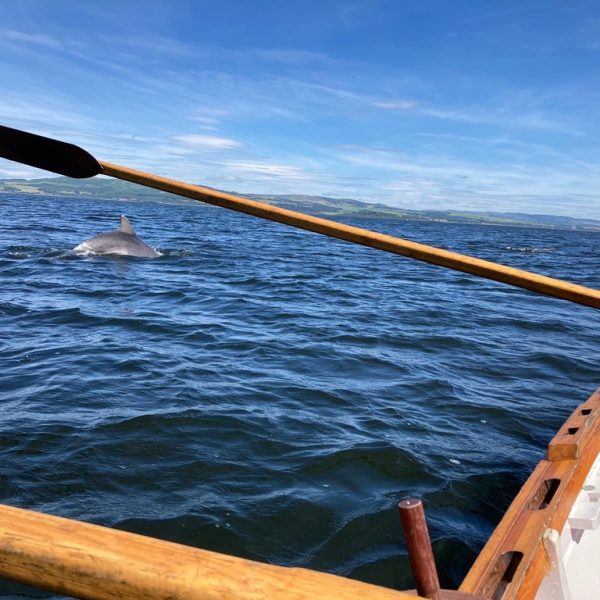Canoeing - Royal West of Scotland Amateur Boat Club RWSABC