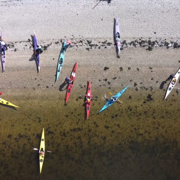 Kayakers at Roseneath